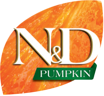 N&D Pumpkin Wet